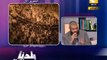 بلدنا بالمصري: علاقة الانتخابات بأحداث ميدان التحرير