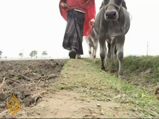 Bangladeshi man bears scars of torture