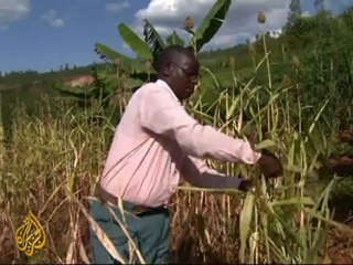 Rwanda's gacaca courts questioned 10 years on