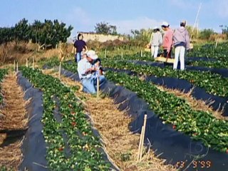 Globo Repórter 27-07-2012 Parte 3 Flores do Brasil