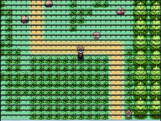 [Let's Play] Pokémon Version Noelism   Episode 2  Des nouveaux venus!