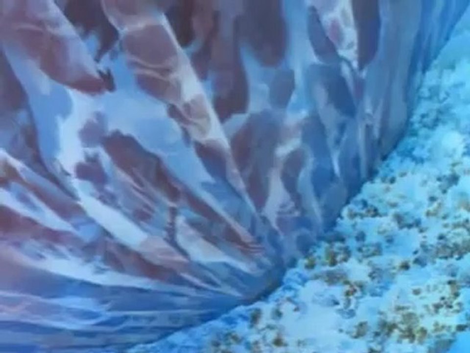 Peter Pan And The Pirates: The Coldest Cut Of All Pt. 1/2