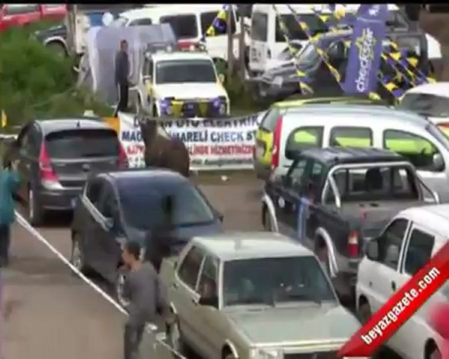 Kafkasör festivali 2012-Boğa Güreşleri