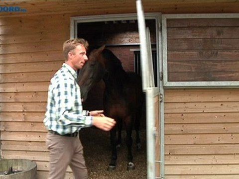 Direct medaillekansen voor Olympische Groningers - RTV Noord