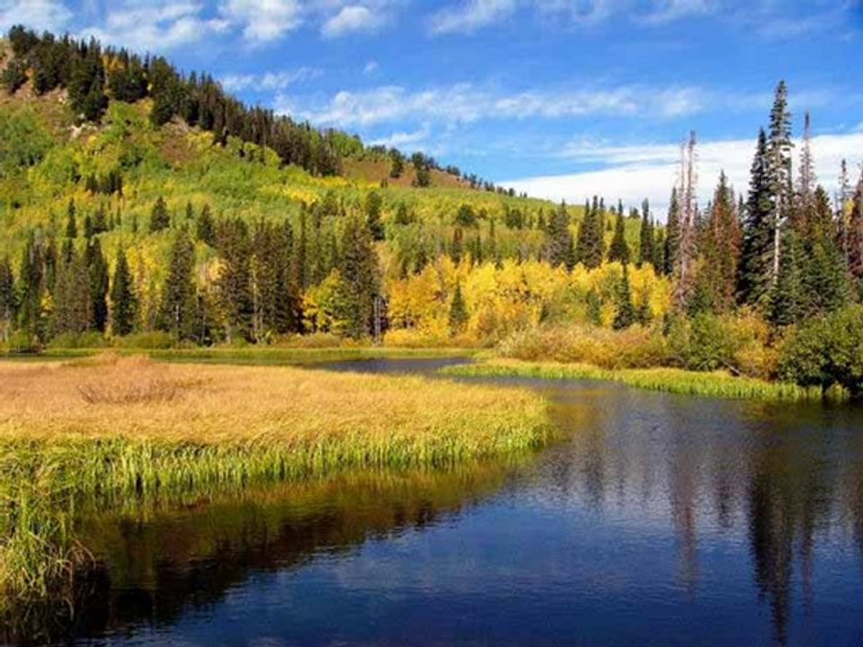 ADANA EVDEN EVE FİRMALARI 0462 323 04 04