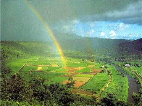 AĞRI EVDEN EVE NAKLİYAT 0462 323 04 04