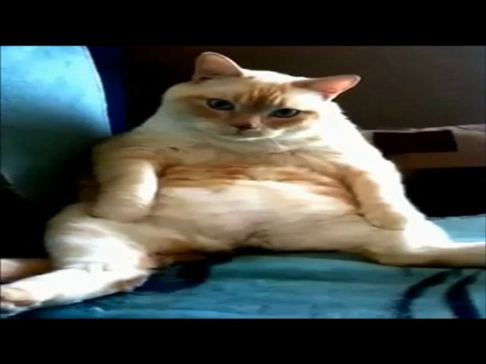 Oups...Pardon excusez moi..