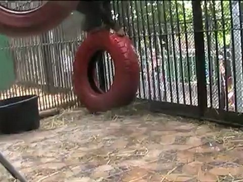 Водные забавы Ники