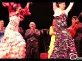 Spectacle Flamenco Cendrillon - Cuento Flamenco cie Flamenca Vanessa Domiati