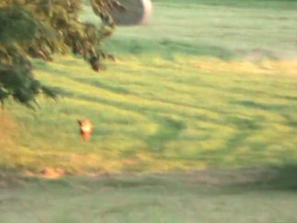 Souvenir de vacances en Bourgogne (Donzy le National)