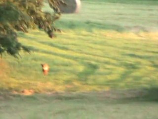 Souvenir de vacances en Bourgogne (Donzy le National)