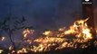Wildfires ravage Siberia amid heatwave