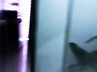 Poltergeist sonidos raros que me acojonan