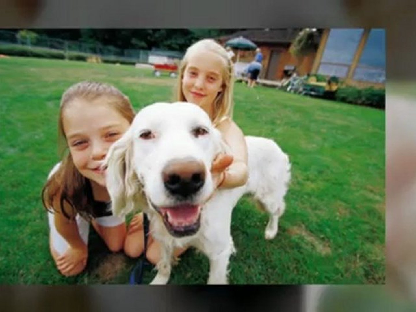 ⁣Dog Training Portland Oregon - Expert Dog Training Services