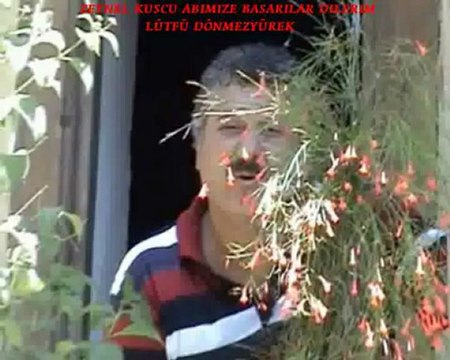 Zeynel Kuşcu (( CANO )) ALANYA OBAALACAMİİ KÖYÜ -KAYIT LÜTFÜ DÖNMEZYÜREK