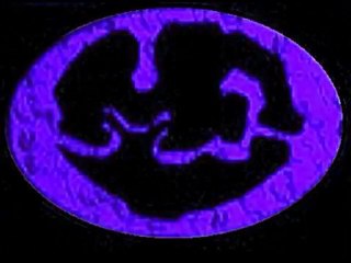 Abcdário - ELEMENTOS MC´S (Campinas)