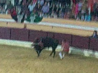 RICARDO PATUSCO AMADORES DE VILA FRANCA PEGA TOIRO PALHA EM SALVATERRA A 28 JULHO DE 2012