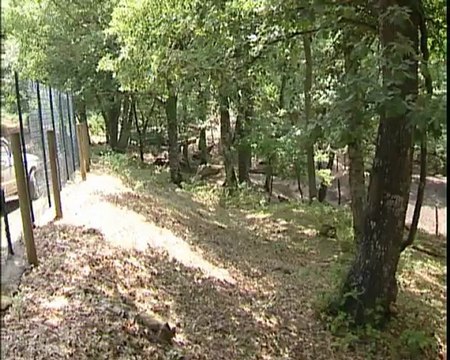 UN' OASI VERDE: GALLIPOLI-COGNATO 29-7-2012