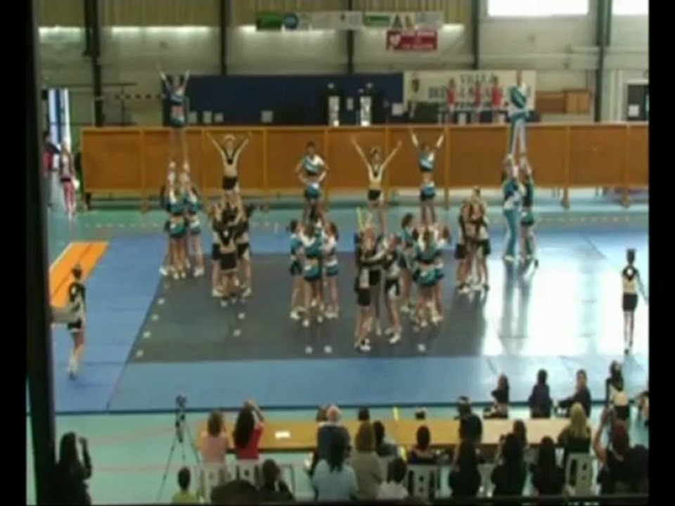fanatic-cheer 19