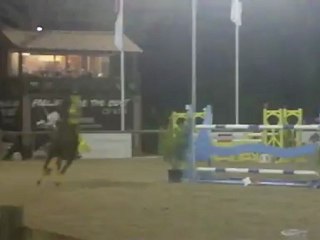 Epreuve déguisé, équipe Crazy Bee, domaine équestre des GP