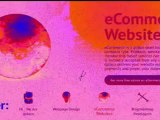 Ecommerce Websites and SEO