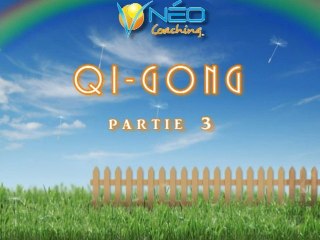 Coaching en ligne - Qi-gong- Cédric Laurière - partie 3