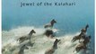 History Book Review: Okavango: Jewel of the Kalahari by Karen Ross