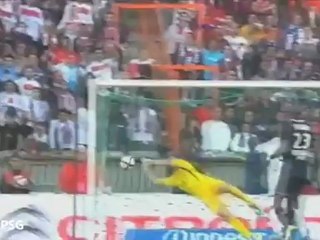 Javier Pastore (All Goals & Skills)  - Paris SG - 2011-2012