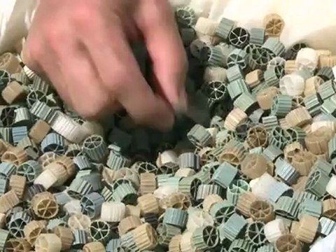 Littoral: ces gardiens de la côte qui combattent la pollution