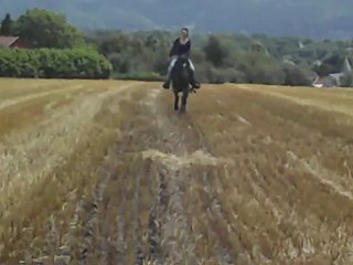 Tj galop champs de paille :)