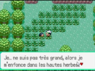 WT Pokémon émeraude - 2 - 1er combat contre Flora