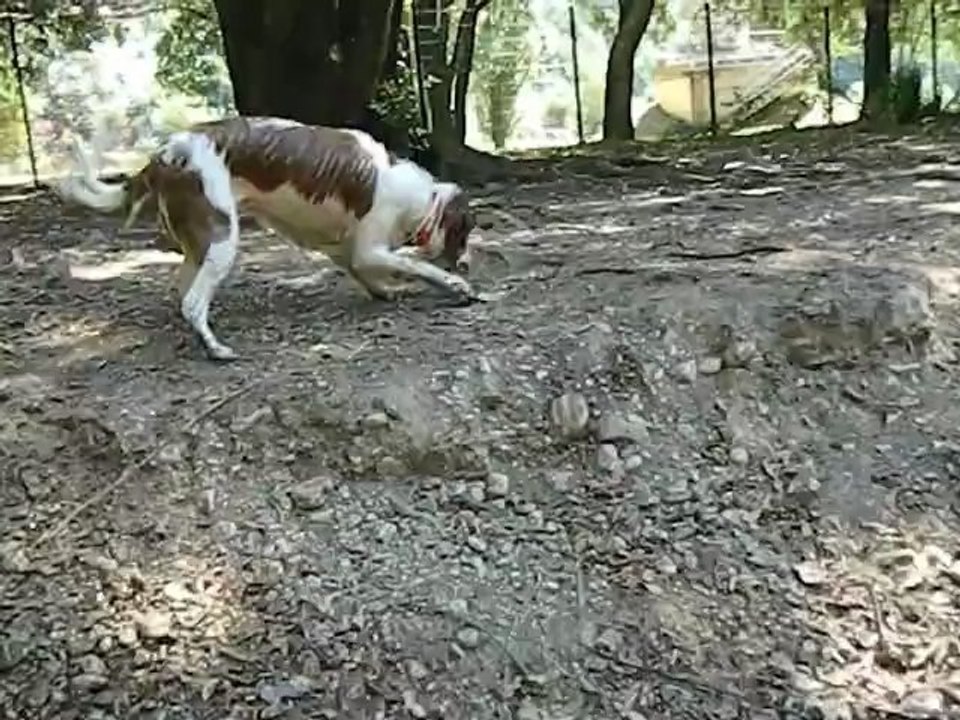 DSCN6576