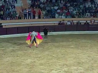 ANTONIO VACAS DE CARVALHO AMADORES MONTEMOR PEGA TOIRO PALHA SALVATERRA MAGOS