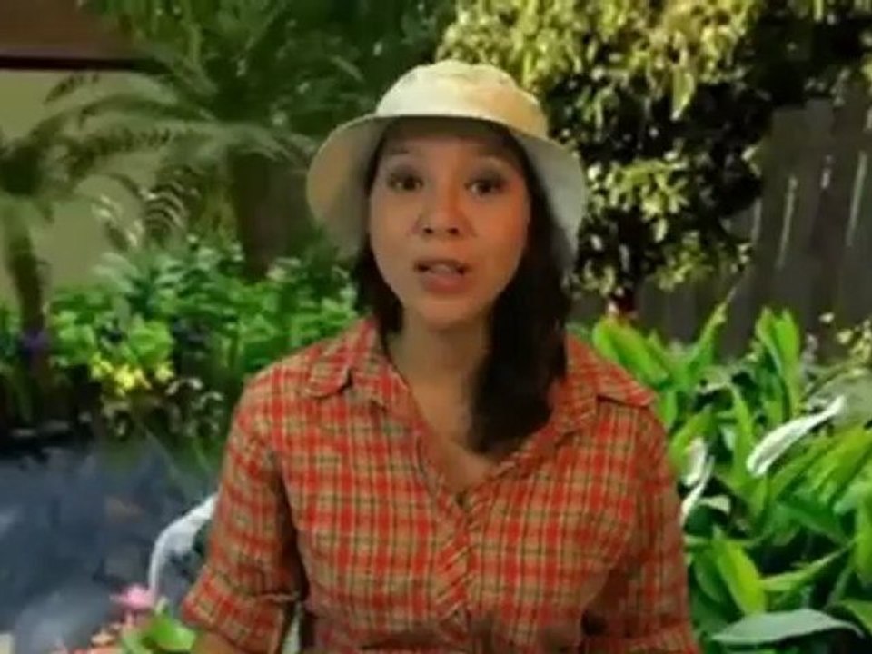 20 in. Bird Bath w/ Metal Stand (non-heated) Birdbath Review