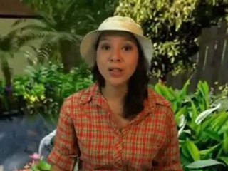 20 in. Bird Bath w/ Metal Stand (non-heated) Birdbath Review