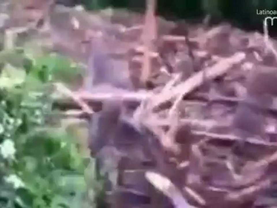 El Poder De La Naturaleza en solo 45 segundos