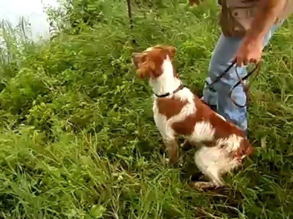 EDJI AU RAPPORT A LEAU