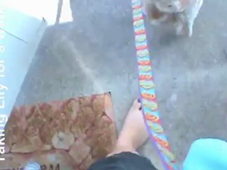 My One Day Without Shoes, 2012