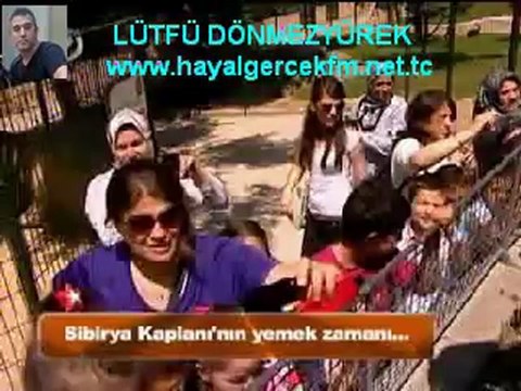 Atilla Taş Devri DARICA-HAYVANAT BAHCESi Bölüm-2-LÜTFÜ DÖNMEZYÜREK