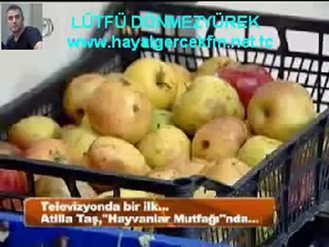 Atilla Taş Devri DARICA-HAYVANAT BAHCESi Bölüm-3-LÜTFÜ DÖNMEZYÜREK