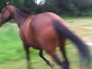 Rhapso 1er aout