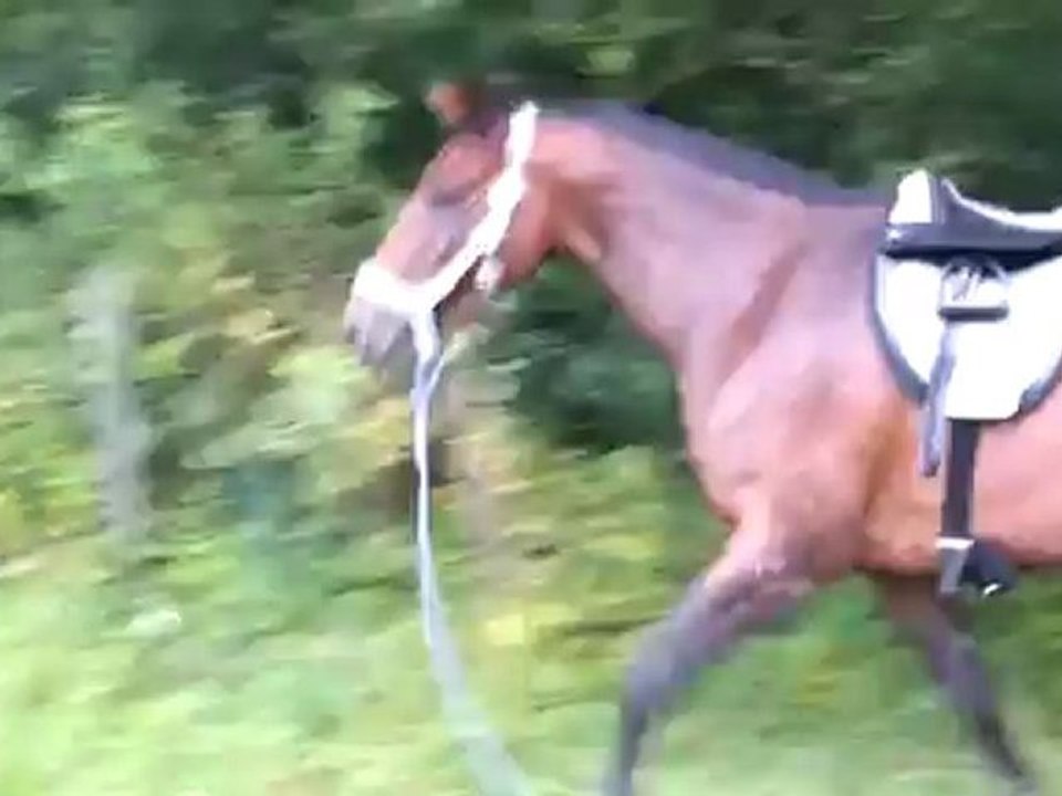 Rhapso 1er aout l