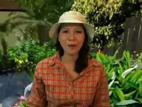 Heated Bird Bath (20 in.) w/Hardware Birdbath Review