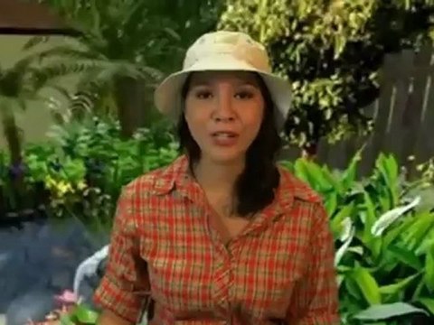 Bird bath Kozyfill Auto Birdbath Filler Review