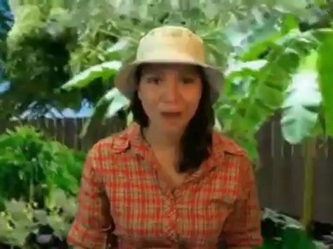 Birdbath Metal Stand for Bird Bath Review