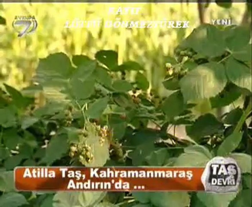 Atilla Taş Devri Kahramanmaras-ANDIRIN -Bölüm-2-LÜTFÜ DÖNMEZYÜREK
