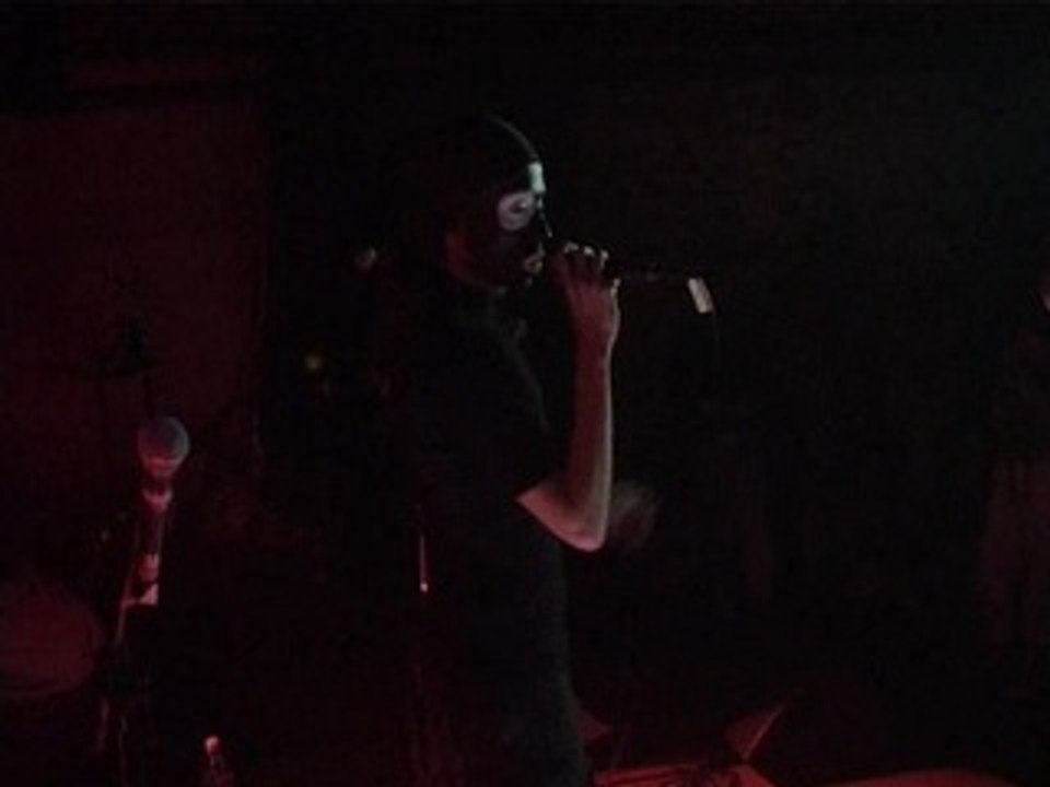 "The Pop & Pea" Papillon (live)