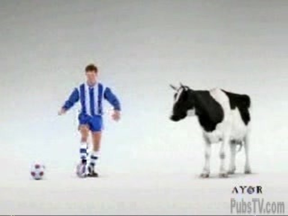 La vache qui feinte
