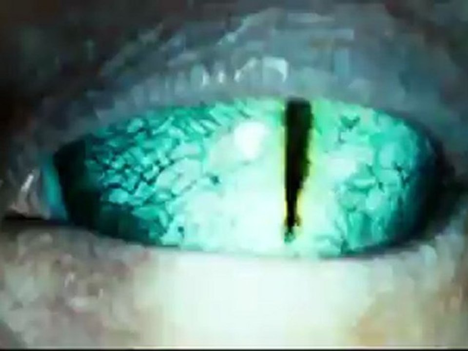 BATTLESHIP Trailer 2012 Rihanna   Movie Trailer 2   Official [HD]