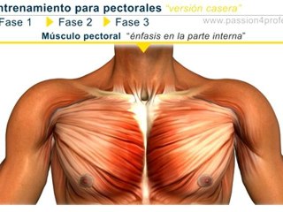 Entrenamiento para pectorales